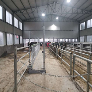 Sala di mungitura della capra delle pecore dell'attrezzatura di nuova condizione del contatore elettrico di Digital <span class=keywords><strong>da</strong></span> vendere - Product Image 4