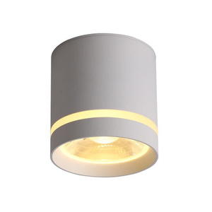 Boîtier de projecteur GU10 MR16 monté en surface Downlight Angle de faisceau réglable COB Deep Anti Dazzle surface mount LED Downlight - Product Image 4