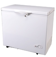 Congélateur coffre à grande capacité 250L à ouverture par le haut, avec serrure/clé et éclairage LED, modèle BD-250Q – Vente chaude usine