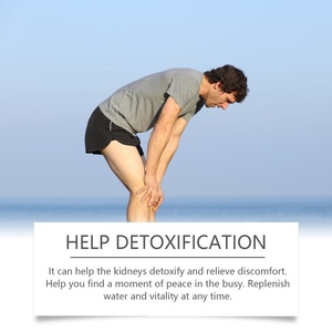 Tisana Naturale Energetica alla Maca per Ridurre le <span class=keywords><strong>Pietre</strong></span>, Benefica la Salute del Sistema Urinario e Purifica i Reni - Product Image 4