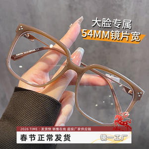 Montures de lunettes rectangulaires Danyang 8044 extra larges en TR90, anti-lumière bleue, pour femmes, sensation haut de gamme - Product Image 3