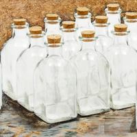 Lot de 100 ml – Bouteilles en verre carrées pour loisirs créatifs, mini-vases rétro, pots à potions personnalisables, diffuseurs vides scellés avec bouchon en liège