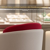 Chaise de maquillage et de présentation en acier inoxydable de luxe léger avec dossier, pour chambre à coucher, coiffeuse et salon de manucure