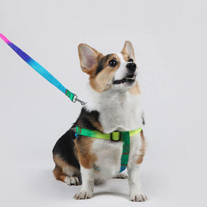 <strong>Rainbow</strong> Multi-Color Printed Nylon Pet <strong>Harness</strong> Leash Set Fashionable No-Pull Step-In Design Adjustable for Personalized - Product Image 2