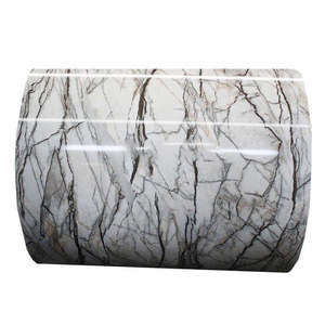 Окрашенный оцинкованный стальной лист и рулоны - Product Image 5