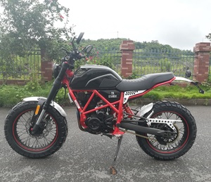 111838 chine motos bon marché pour la vente <span class=keywords><strong>moto</strong></span> FUEGO <span class=keywords><strong>scrambler</strong></span> 250 ville <span class=keywords><strong>moto</strong></span> rue <span class=keywords><strong>moto</strong></span> nouveau design <span class=keywords><strong>moto</strong></span> - Product Image 2