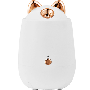 WYWD último Mini Nano niebla cara vapor Dispositivo de agua destilada o agua purificada con 220V - Product Image 2