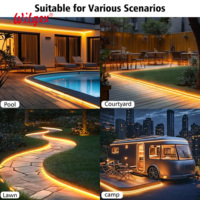 Bande LED néon en silicone grande taille 40x25mm IP65 double rangée optimisée pour la distance, PCB en cuivre 3oz ignifuge B2 5Y