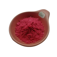 Poudre de fruit du dragon (pitaya rose) naturelle, extraite par solvant, riche en vitamines, qualité alimentaire, en vrac, soluble dans l'eau