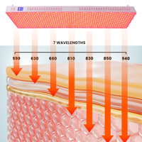 Ideatherapy - Prix le plus compétitif - RL1200Pro - Panneau de luminothérapie infrarouge à 7 spectres - Luminothérapie rouge - Pour spa