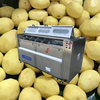 Nieuwe model commerciële aardappel schilmachine van roestvrij staal, geschikt voor gember, wortelen en andere wortelgewassen.