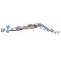 Machine à laver et à laver les fruits et légumes, ligne de Production de légumes, entièrement de haute qualité