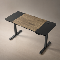 Bureau électrique à hauteur réglable AOR au design moderne et aux blocs de couleur, idéal pour l'apprentissage à domicile et le bureau, vente en gros personnalisée en usine dans toutes les couleurs