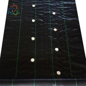 1x1m 1.5x1.5m 2x2M 2x100m 1x100m màu đen chống cỏ vải cỏ dại kiểm soát Mat dệt vải nông nghiệp che phủ mặt đất với lỗ - Product Image 3