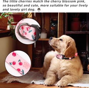 QQPETS Verstellbares Hunde halsband Niedlich Rosa Mehrfarbiger Blumen druck XS Klein Mittel Groß Haustier Welpe Gehen Laufen Laufen Polyester Band - Product Image 2