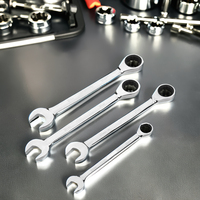Heavy-Duty 72T Llave de engranaje de doble extremo 6-32mm Juego de combinación de trinquete Acero al carbono Métrico Abierto/Caja Industrial DIY OEM