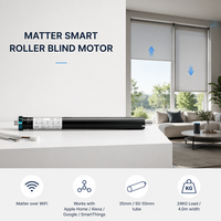 Moteur de store enrouleur intelligent en aluminium Matter, tube de 35 mm, 50/55 mm, 6 Nm, WiFi, Tuya, Apple Home, Alexa, Google, SmartThings, rideau motorisé