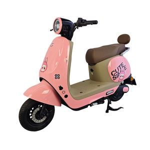 Placa de Matrícula del Fabricante <span class=keywords><strong>para</strong></span> Scooter de 1000W/Motocicleta <span class=keywords><strong>El</strong></span>éctrica <span class=keywords><strong>para</strong></span> Adultos/Motocicleta <span class=keywords><strong>El</strong></span>éctrica <span class=keywords><strong>para</strong></span> Jóvenes - Product Image 1