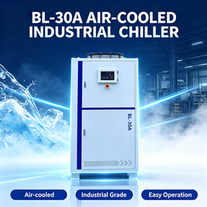 Enfriador de Agua Pequeño Refrigerado por Aire BL02A, Enfriador de Tornillo Refrigerado por Aire de Alta Eficiencia y Ahorro de Energía - Product Image 6