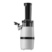 Hot Selling Goedkope Custom Machine Elektrische Mini Fruit Slow Juicer Prijs