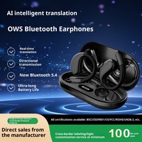 Écouteurs de sport étanches à suspension auriculaire, non intra-auriculaires, avec traduction IA personnalisée, chargement Type-C, vente en gros