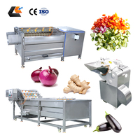 Machine à éplucher les pommes de terre et les légumes certifiée CE, machine à éplucher les fruits et légumes, machine à laver les carottes, ligne de découpe de légumes