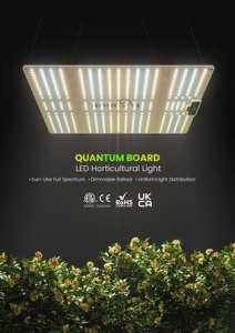 Siêu nhẹ 180W/240W/320W/<span class=keywords><strong>120W</strong></span> quamtun Hội Đồng Quản trị phát triển đèn quang phổ đầy đủ dẫn Dimmable nhà máy trong nhà hydroponics CE cấp giấy chứng nhận - Product Image 6