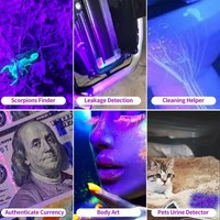 Lampe de poche ultraviolette USB rechargeable torche à lumière UV LED portable lampe de poche noire avec corps de lampe en alliage d'aluminium