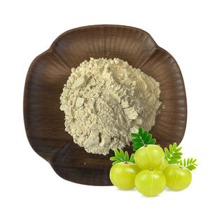 Approvisionnement d'usine Cas 1401-55-4 Extrait de <span class=keywords><strong>fruit</strong></span> d'<span class=keywords><strong>Amla</strong></span> 60% Poudre de tanins - Product Image 2