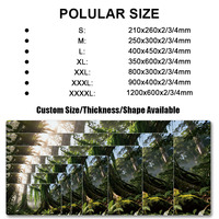 Custom Mouse Pad Game Mat Computer Hardware Software Office Home Use High Quality Large Gaming Mouse Pad