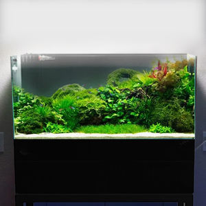 <span class=keywords><strong>Aquarium</strong></span> Relaxlines de Bureau 140-160L en Verre Cristal Blanc Ouvert pour Aménagement Paysager, Élevage et Observation avec Système de Filtration - Product Image 1