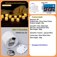 Lumières festives électroniques LED OTHC BL-dzlz, petites lumières LED pour thé, lumières clignotantes, décoration extérieure de Pâques, 24 pièces par paquet