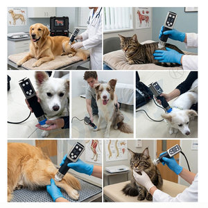 Macchina Portatile per Terapia ad Onde d'Urto Equina con Doppi Applicatori, per Guarigione Rapida di Tessuti Profondi, Muscoli, Tendini e Tessuti Molli in Veterinaria - Product Image 6