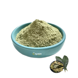 Pabrik Harga bagus ekstrak daun Loquat asam Ursolic untuk perawatan kesehatan - Product Image 1