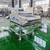 Machine à glaçage rapide pour filets de poisson, pieds de poulet, fruits de mer et produits aquatiques, certifiée 3C, sûre et fiable.