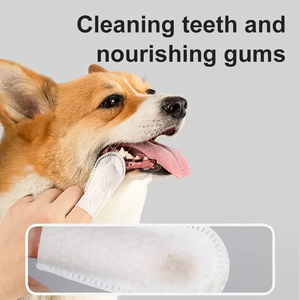 Lingettes pour <span class=keywords><strong>Brosse</strong></span> à Dents pour Animaux de Compagnie en Coton Écologique de Haute Qualité Soins Buco-Dentaires Doigt-Gant pour Chats et Chiens Nettoyage Dentaire - Product Image 4