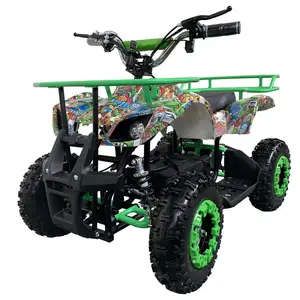 Mini electric quad outdoor motorbike ATV with colorful frame