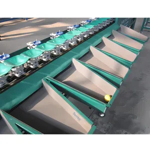 Simple maintenance and flexible operation pear sorting machines