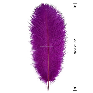 Hot bán nhân tạo đà điểu lông cho đám cưới trang trí đà điểu lông bảng lample đà điểu đi Điếm - Product Image 4