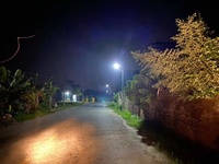 Projecteur solaire LED, 300 W, 2 pièces