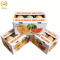 Boîtes en carton ondulé personnalisées, imperméables, avec revêtement UV, pour l'expédition et l'affichage empilable de melons et pastèques