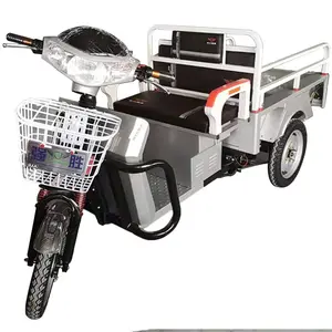 2023 New Model Powerful 3 Wheeler Motorcycle Heavy Load Delivery Adult Trike Electric Loader Three Wheel Small Cargo Tricycle