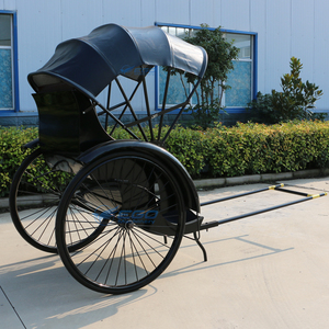 Carroza de Lujo Tipo Rickshaw, Carroza Real para Caballos en Venta, Transporte Especial, Carroza de 2 Ruedas para Poni, Rickshaw - Product Image 2