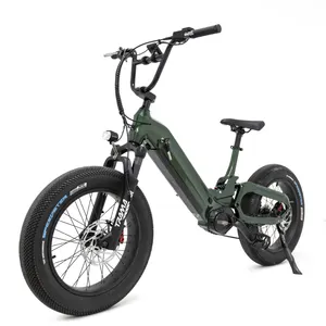 PRESELL2022マリオ新着バードシリーズ電動自転車250wバファンブランドミッドモーター付き