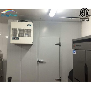 Cella Frigorifera Walk-in 10x8x8FT con Unità Monoblocco, Stanza Refrigerata per Carne di Pollo - Product Image 3
