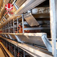 Cage à poules pondeuses de type H en acier galvanisé à chaud, 4 niveaux, système de collecte d'œufs pour élevage, abreuvoir à tétine
