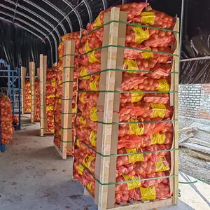 Pasokan bawang Belanda tanaman baru (bawang merah, bawang kuning)-harga murah