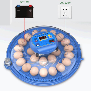 52 Trứng Chất Lượng Cao Tự Động Đa-Chức Năng Lồng Ấp Trứng Cho Gà Vịt Ngỗng & Đà Điểu Điều Kiện Mới Trang Trại Sử Dụng - Product Image 5