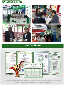 מחיר הסיטונאי חומצה היאלורונית 3000-5000 dalton משקל מולקולרי נמוך - Product Image 4