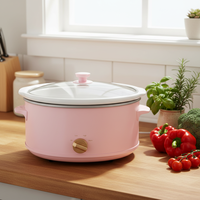 Cuisinière lente multifonction rose 6L - 3 réglages de chaleur, couvercle en verre, pot en céramique, pour 3 à 5 personnes, préparation de soupes et de bouillies à la maison